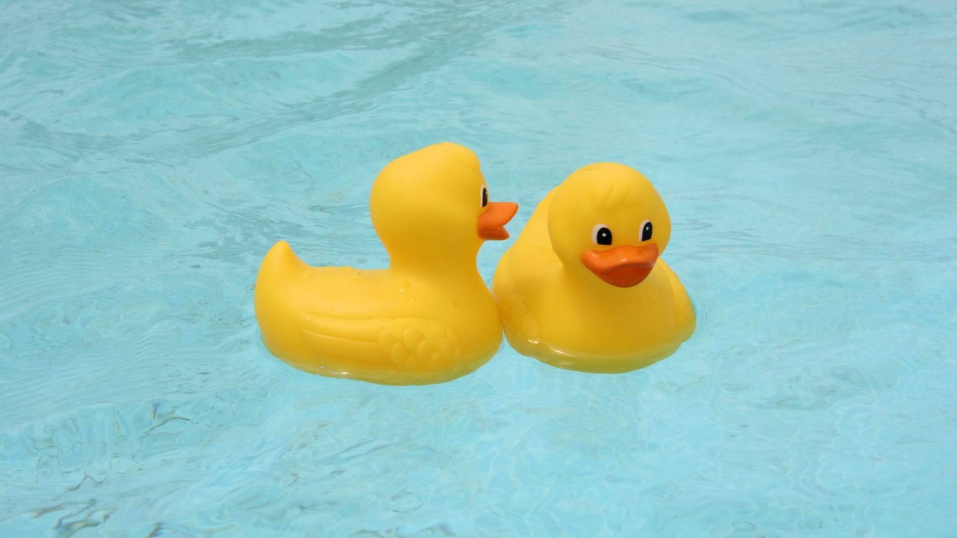Fun Family Pool Games - Rubber Ducky Races